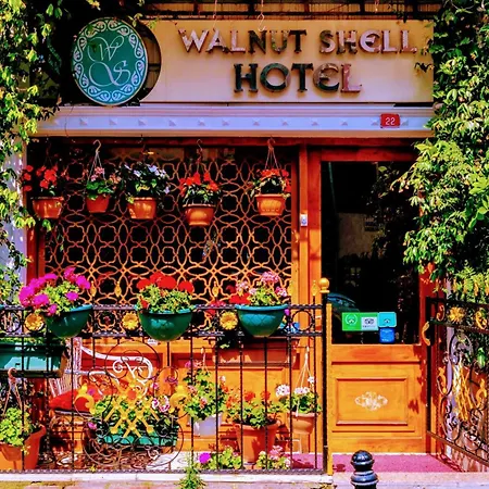 Walnut Shell Istanbul