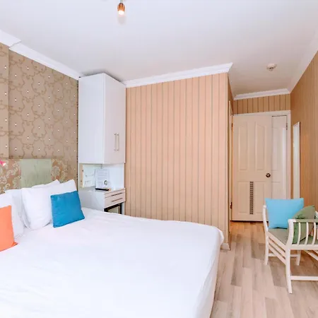Walnut Shell 3*