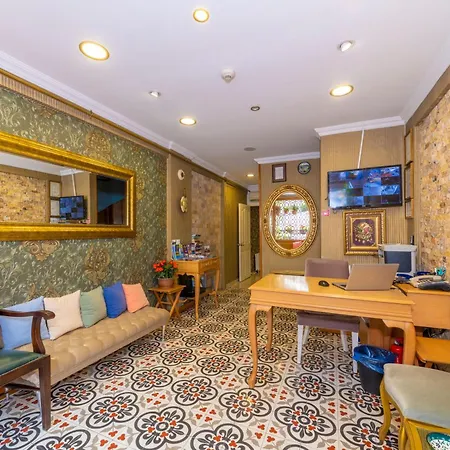Walnut Shell Istanbul