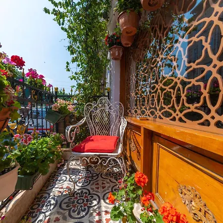 Walnut Shell מלון