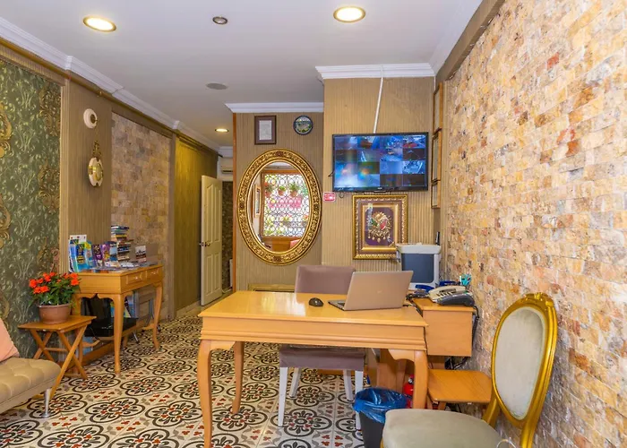 Walnut Shell Estambul