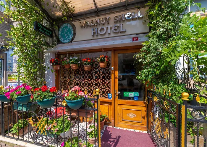 Walnut Shell Istanbul