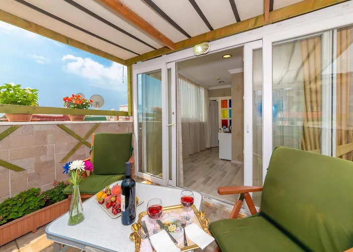 Walnut Shell Estambul