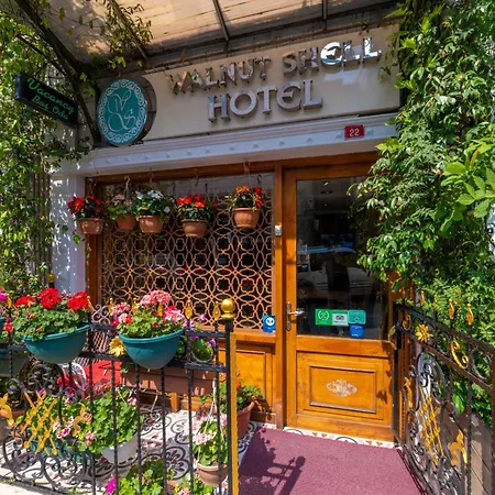 Walnut Shell Istanbul