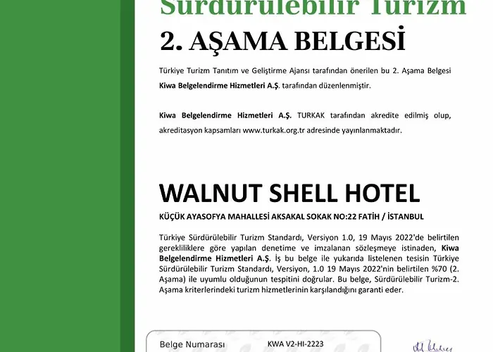 Walnut Shell Istanbul