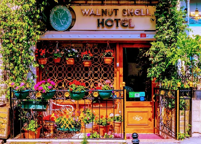 Walnut Shell Istanbul