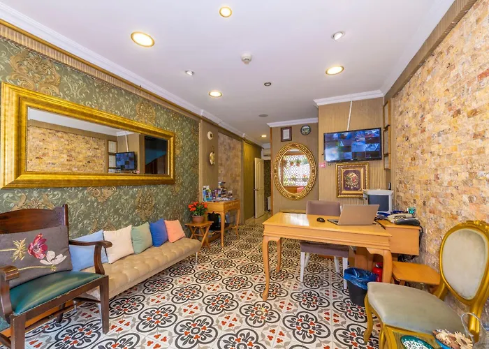 Walnut Shell Istanbul